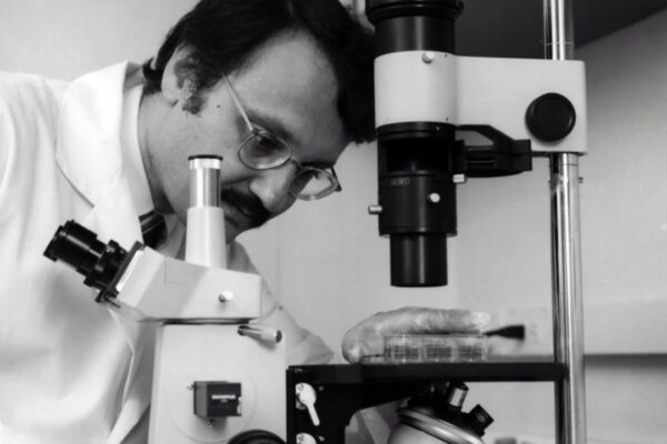 Photo Market Research: Data Analysis