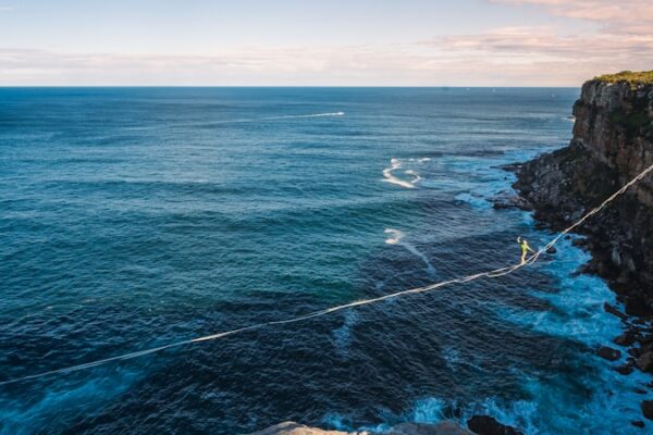 Photo Collaboration, Innovation