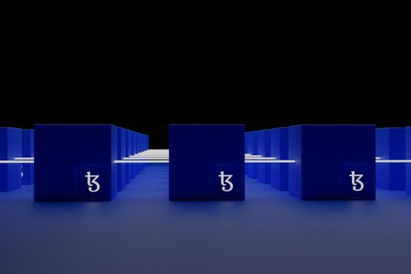 Photo Cultural exchange program: Students interacting