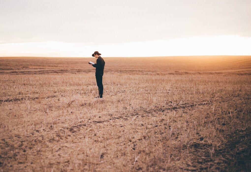 Photo Pros: Stability Cons: Uncertainty