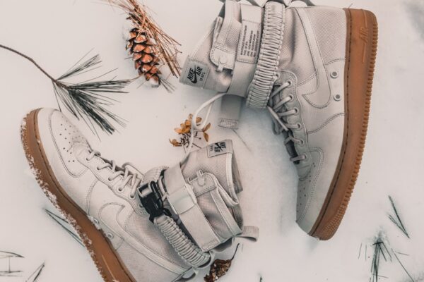 Photo 1 Earth 2 Trees