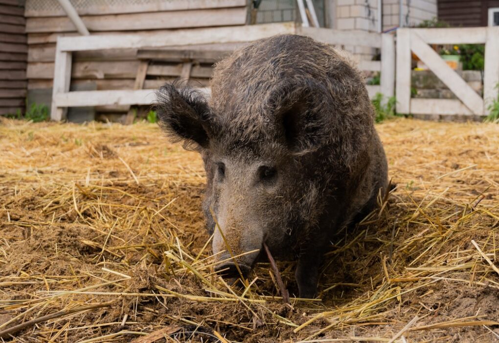 Photo 1 Artificial Intelligence 2 Robotics