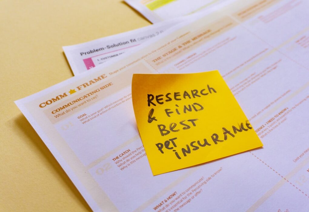 Photo Investors, Startups