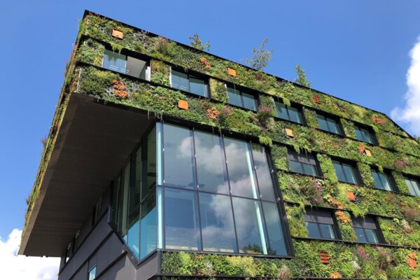 Photo Sustainable office