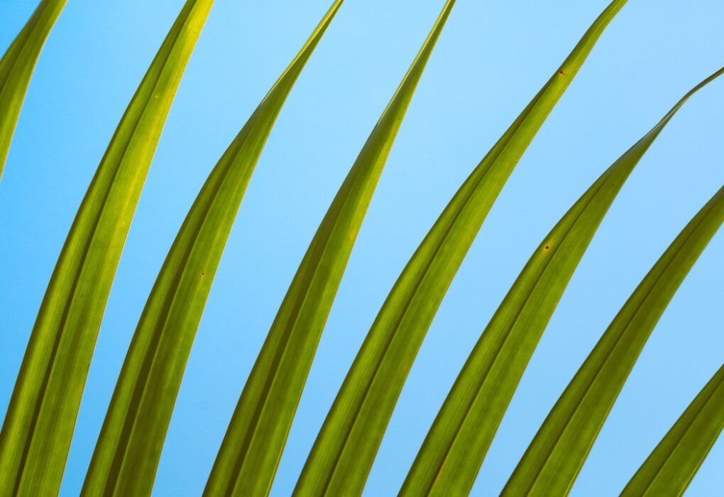 Photo Recycling plant