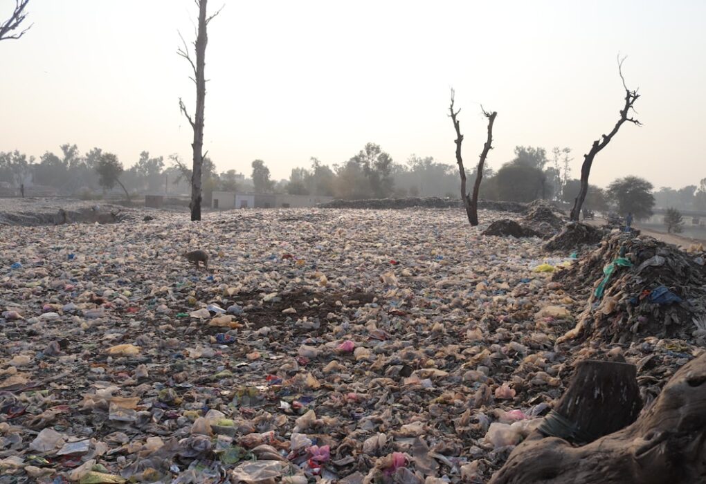 Photo Overconsumption, pollution