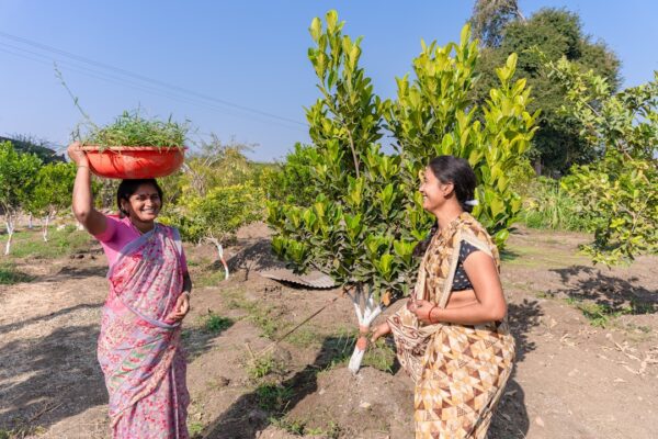 Photo Farmers, Crops
