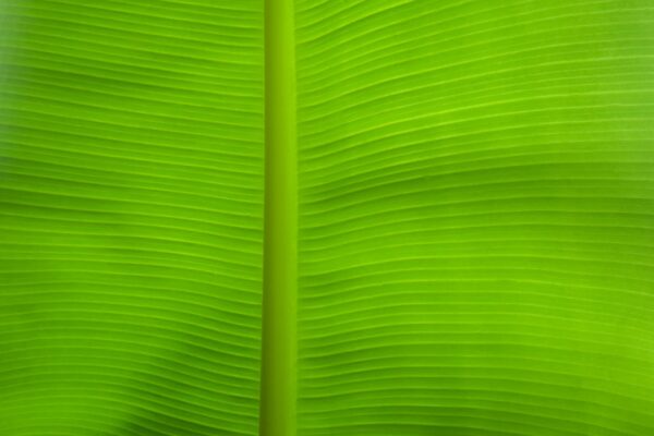 Photo 1 City skyline 2 Air pollution 3 Traffic congestion 4 Public transportation 5 Green spaces 6 Industrial emissions 7 Air quality monitoring 8 Urban planning