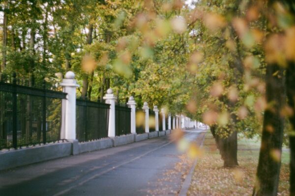 Photo 1 Celebrating fans 2 Victorious athletes