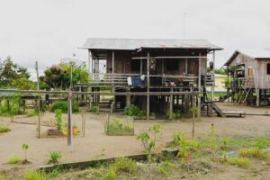 Photo Volunteer Benefits