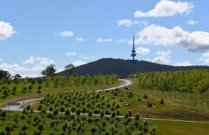 Photo Consumer Rights Act