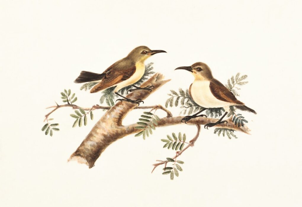 Photo Growth Mindset Illustration