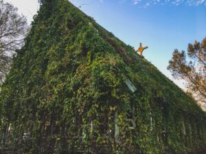 Photo "How to Live a Sustainable Lifestyle"