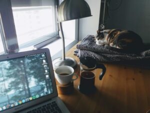 Photo "How to Stay Productive While Working from Home"