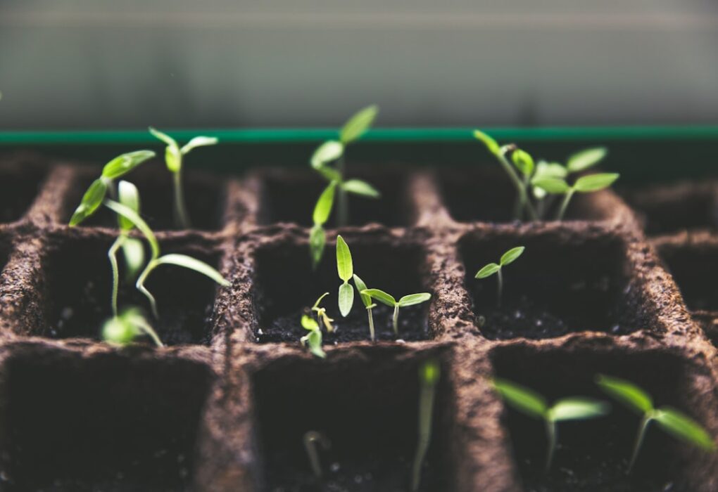 Photo Growth mindset